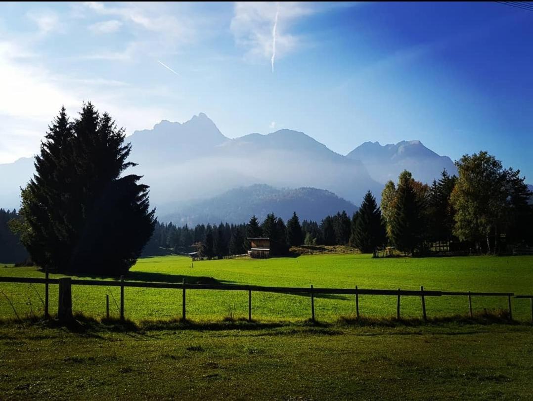 Panoramablick Daire Breitenwang Dış mekan fotoğraf