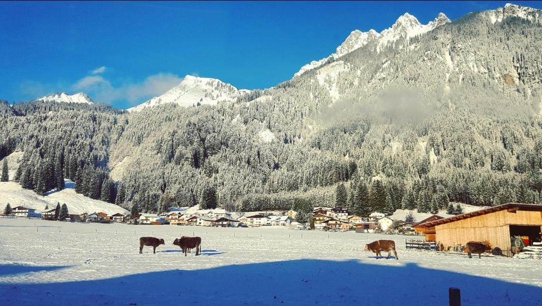 Panoramablick Daire Breitenwang Dış mekan fotoğraf