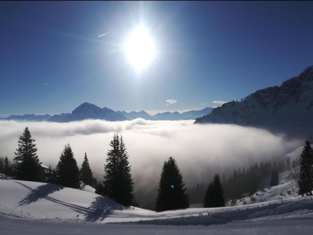 Panoramablick Daire Breitenwang Dış mekan fotoğraf