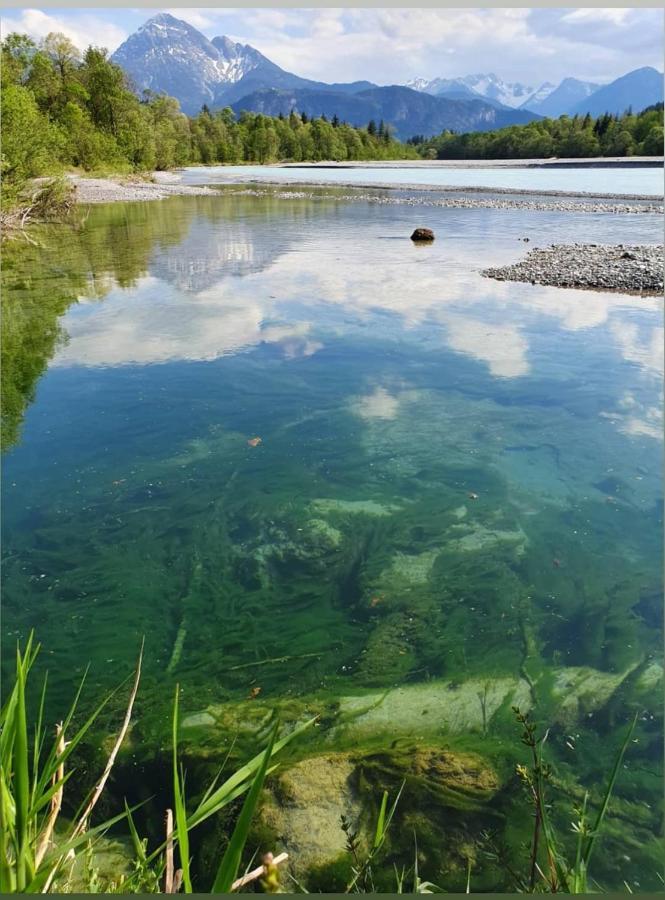 Panoramablick Daire Breitenwang Dış mekan fotoğraf