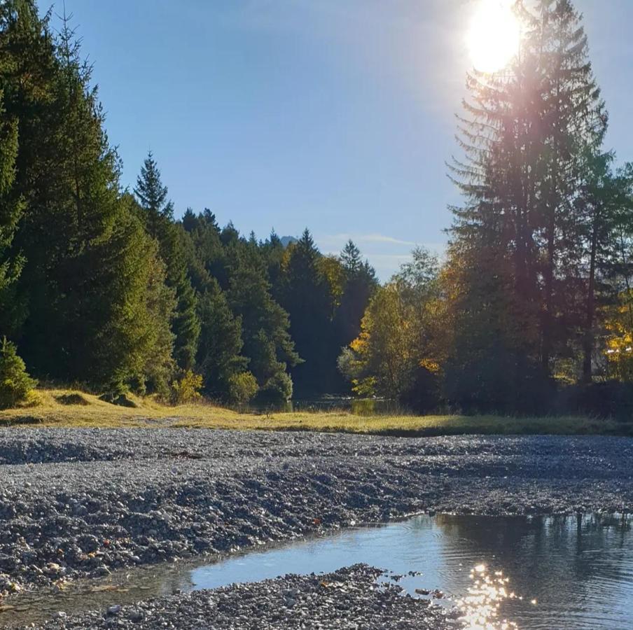 Panoramablick Daire Breitenwang Dış mekan fotoğraf