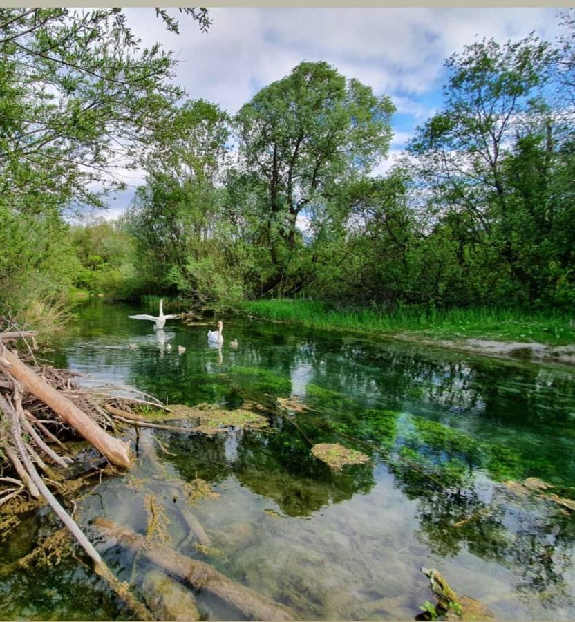 Panoramablick Daire Breitenwang Dış mekan fotoğraf
