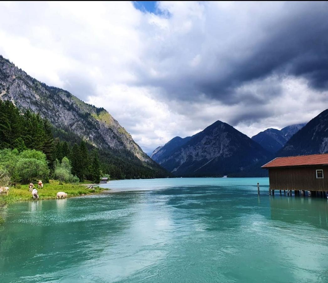 Panoramablick Daire Breitenwang Dış mekan fotoğraf