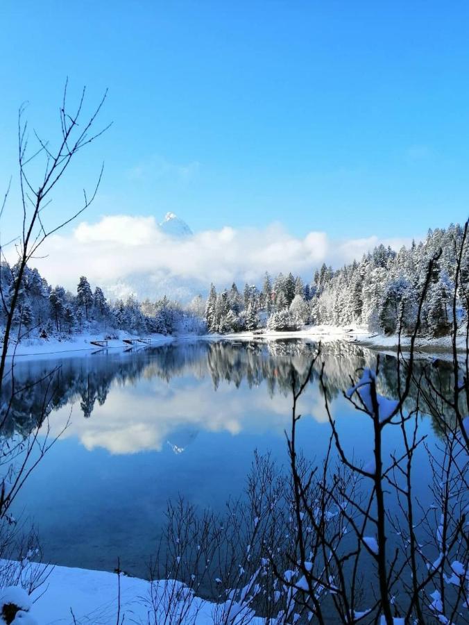Panoramablick Daire Breitenwang Dış mekan fotoğraf