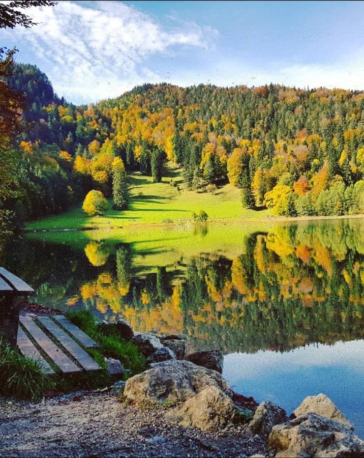 Panoramablick Daire Breitenwang Dış mekan fotoğraf